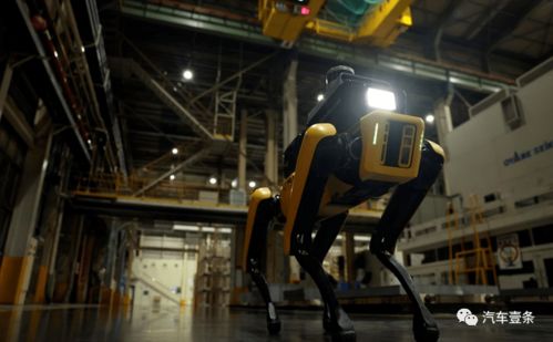 现代工厂安全新助手 智能服务机器人如何有效助力风险管控与现场摄制